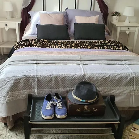 Holidays In Guest house